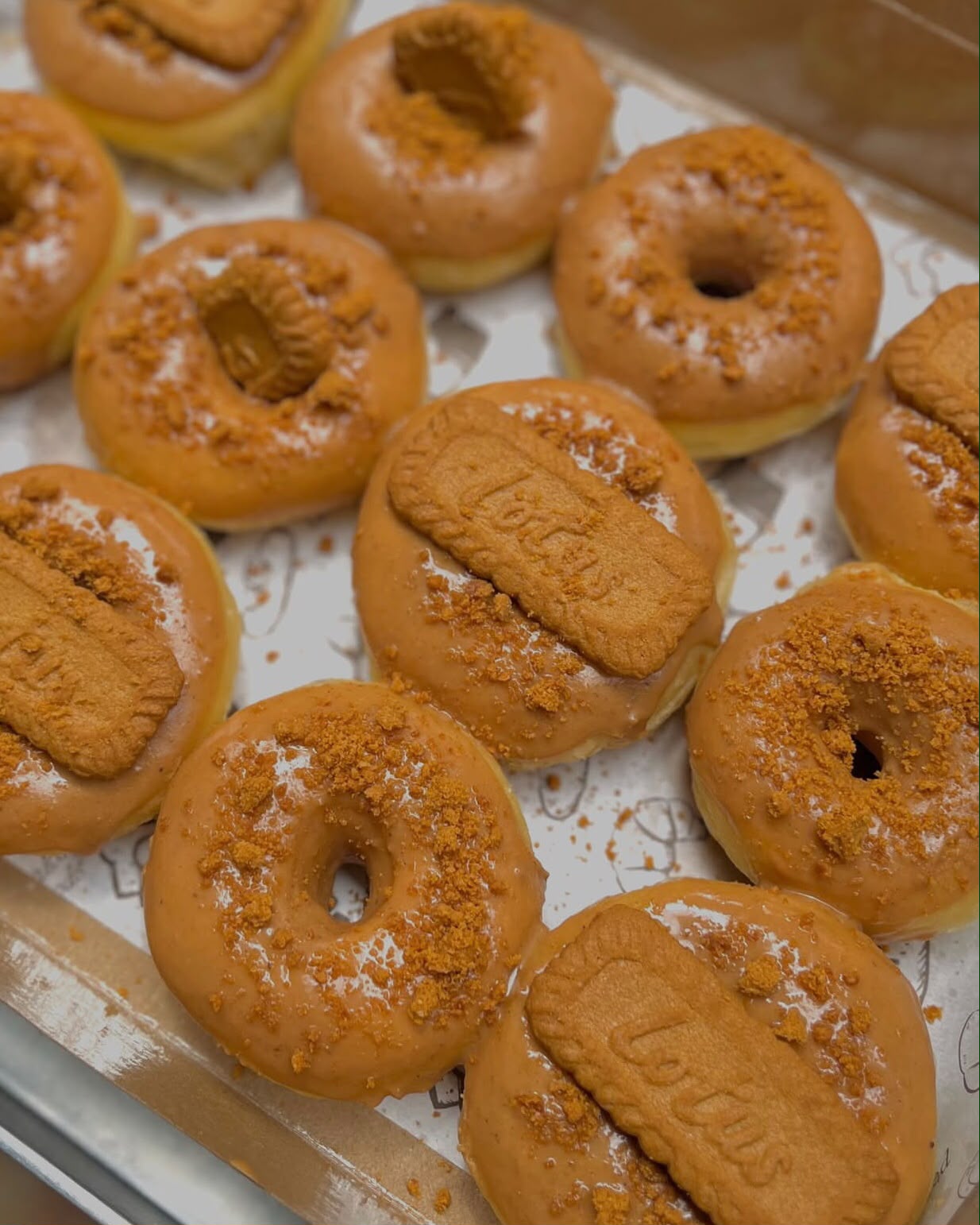 Donat Lotus Biscoff 1 Lusin